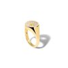 Jewellery State Property | Drew Full Pave Signet Ring